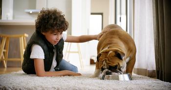 Blue Buffalo Is Bouncing Back at General Mills. What Does It Mean for the Stock?: https://g.foolcdn.com/editorial/images/726377/21_07_20-a-dog-eating-from-a-bowl-with-a-child-_gettyimages-1132780888.jpg