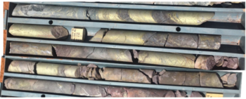 Tennant Minerals Ltd.: Massive Chalcopyrite (Copper-Sulphide) Intersected at Bluebird: https://www.irw-press.at/prcom/images/messages/2022/68005/Tennant_281022_ENPRcom.001.png