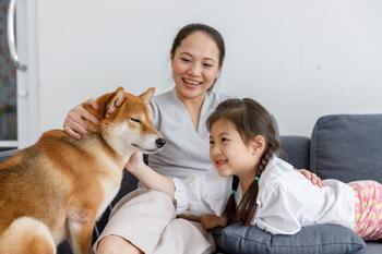 Up 130% Already This Year, Can Shiba Inu's Price Go Even Higher?: https://g.foolcdn.com/editorial/images/774681/people-petting-a-shiba-inu-dog.jpg