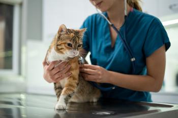 Why Trupanion Stock Dropped 15.6% This Week: https://g.foolcdn.com/editorial/images/737356/a-vet-examining-a-cat.jpg