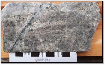 Northisle Announces Additional Assays at West Goodspeed Confirm Near-Surface Copper-Gold Porphyry-style Mineralization Within Open Volume : https://mms.businesswire.com/media/20240819045342/en/2218599/5/Figure6.jpg