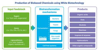 How White Biotechnology Is Innovating To Advance The Global Bioeconomy: https://www.valuewalk.com/wp-content/uploads/2023/09/White-Biotechnology.jpg